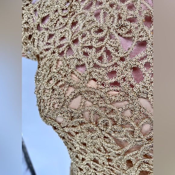 NWT Premier Amour Short Sleeve Sheath Lace Dress - Picture 10 of 14